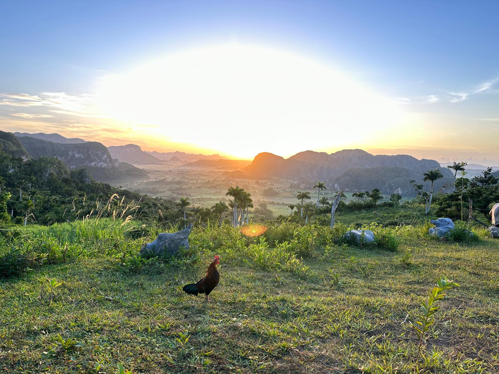 Lever de soleil à Viñales